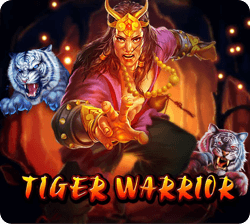 Tiger Warrior